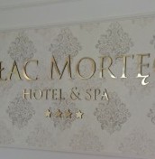 logo napisy na elewacje ze stali aluminium plexi